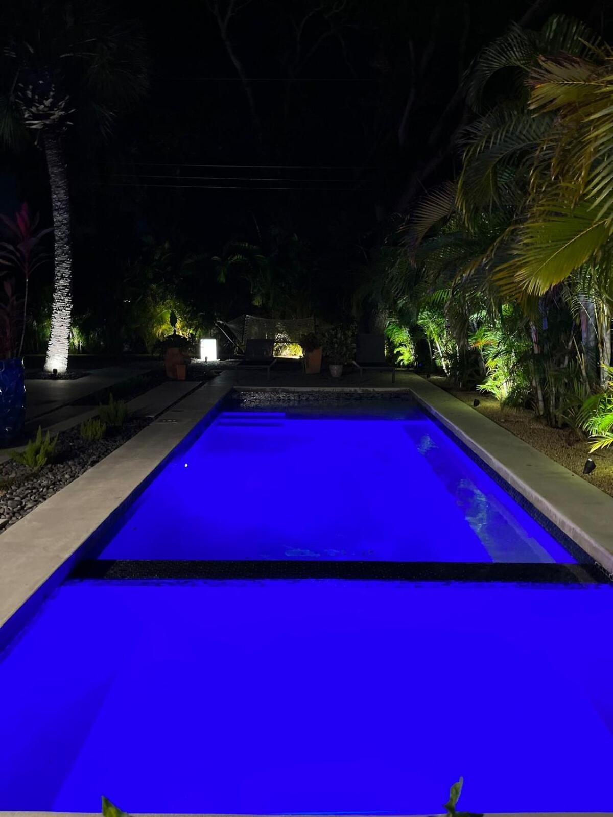 Villa Hiddengem In Charming Sarasota, Florida Extérieur photo